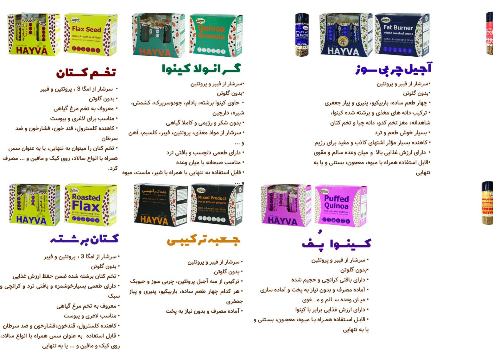 بروشور فارسی حجم کم سایت 2